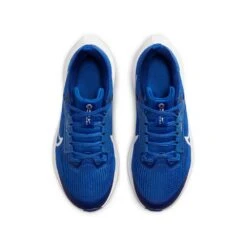 Nike Youth Pegasus 40 Running Shoe - Game Royal/White/Deep Royal - Regular (D) -Brooliks Shop AURORA DX2498 400 PHCTH001 2000