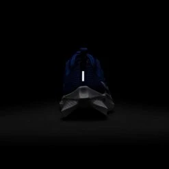 Nike Youth Pegasus 40 Running Shoe - Game Royal/White/Deep Royal - Regular (D) -Brooliks Shop AURORA DX2498 400 PHSBH200 2000