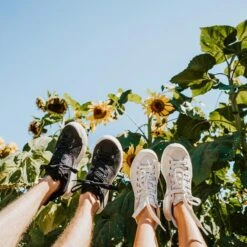 Men's X-Scape NBK Low Sneaker - Black/White - Regular (D) -Brooliks Shop mens x scape nbk low black white ls 2 800x 19e1401c ae96 4599 a957 64c89760f645